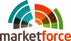 customer experience intelligence satisfaction research survey